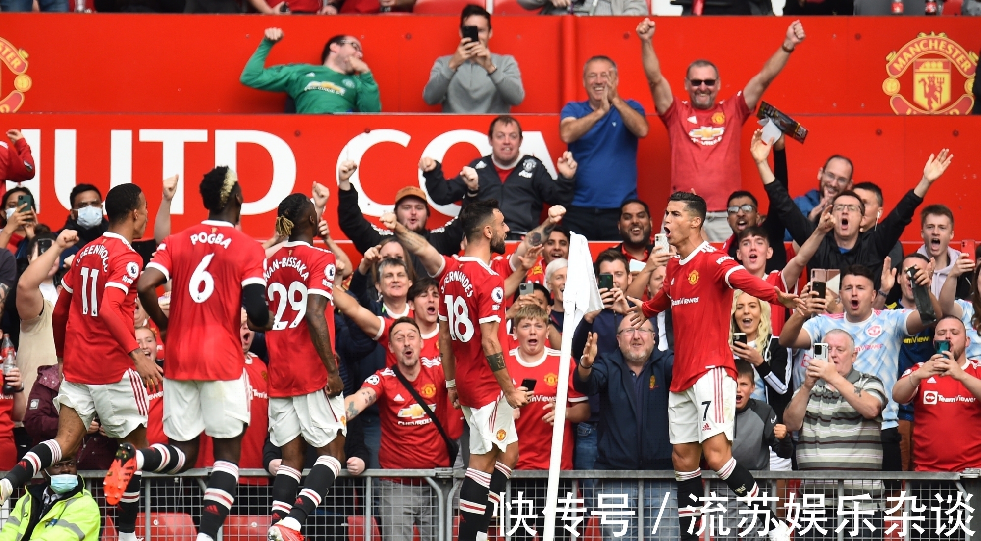 1吨-10吨茶籽油生产线