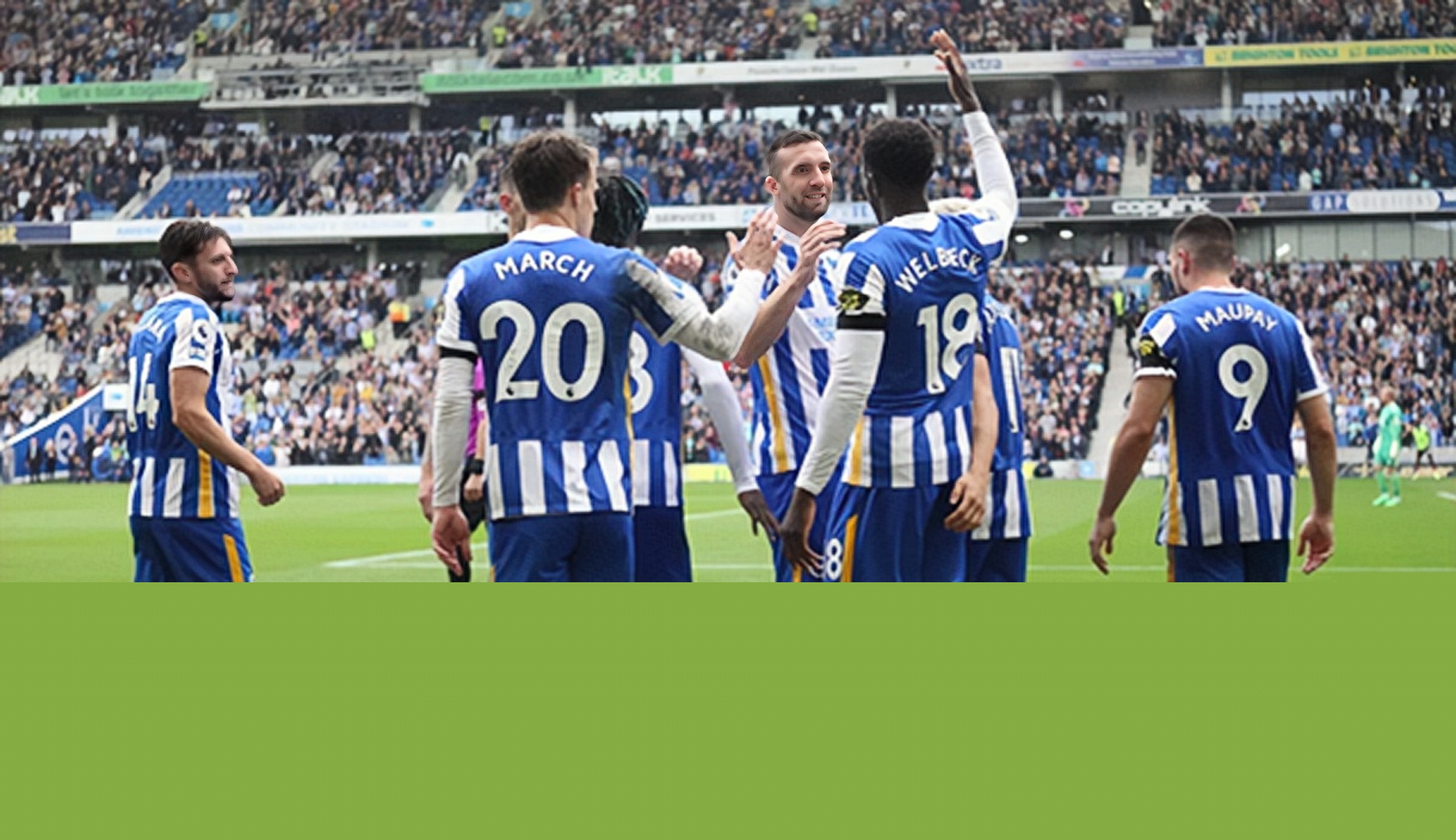 轧胚机 预处理设备